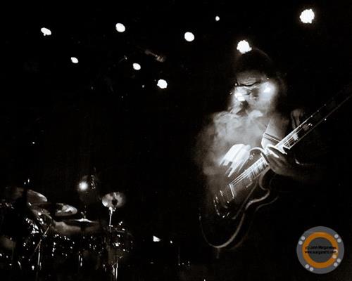 www.TimReynolds.com